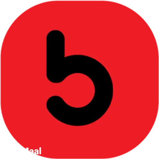 BigShots Logo