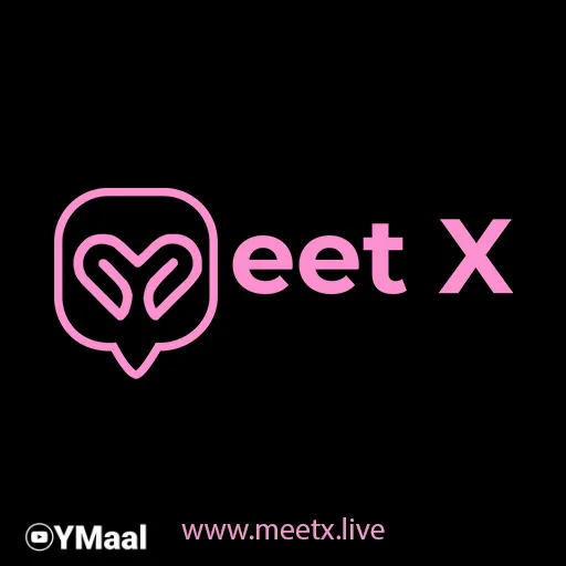 MeetX Logo